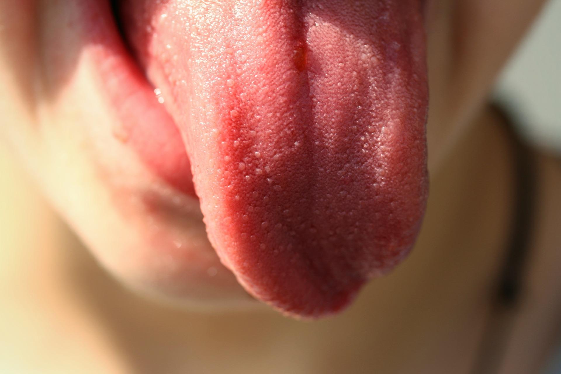 lengua fanny higiene dental